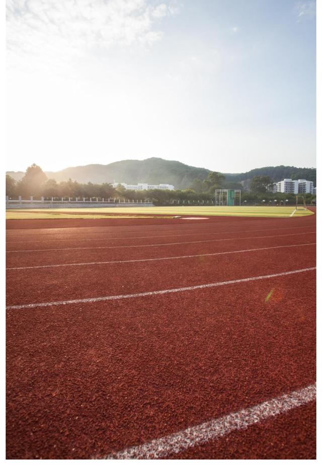 硅PU塑胶球场